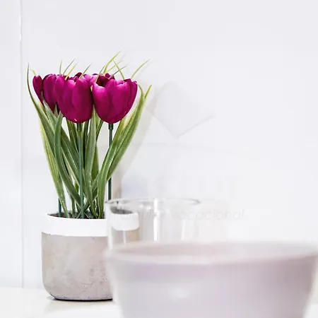 Lägenhet Pimpilinpauxa By Silastur Gijón